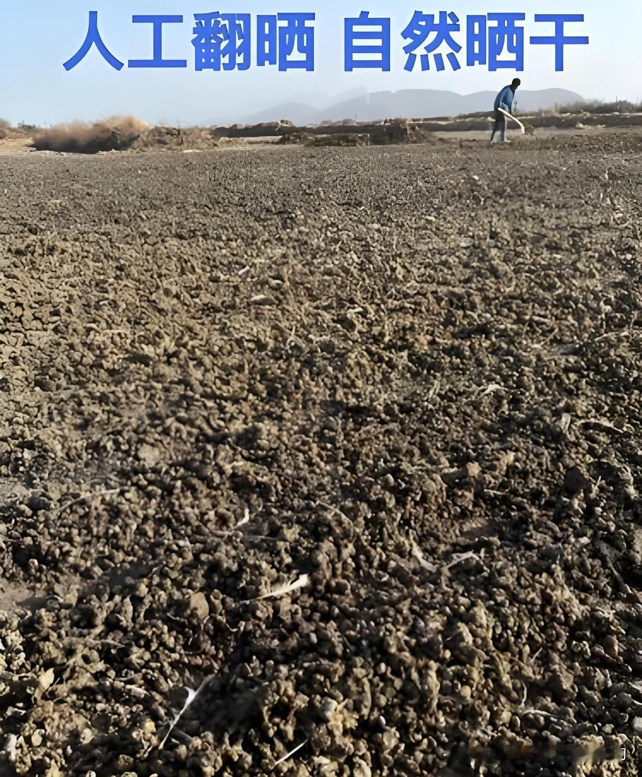 网上买肥假货多，菜友线下买干鸡粪直接埋？后果触目惊心！现在网上买的肥料假的