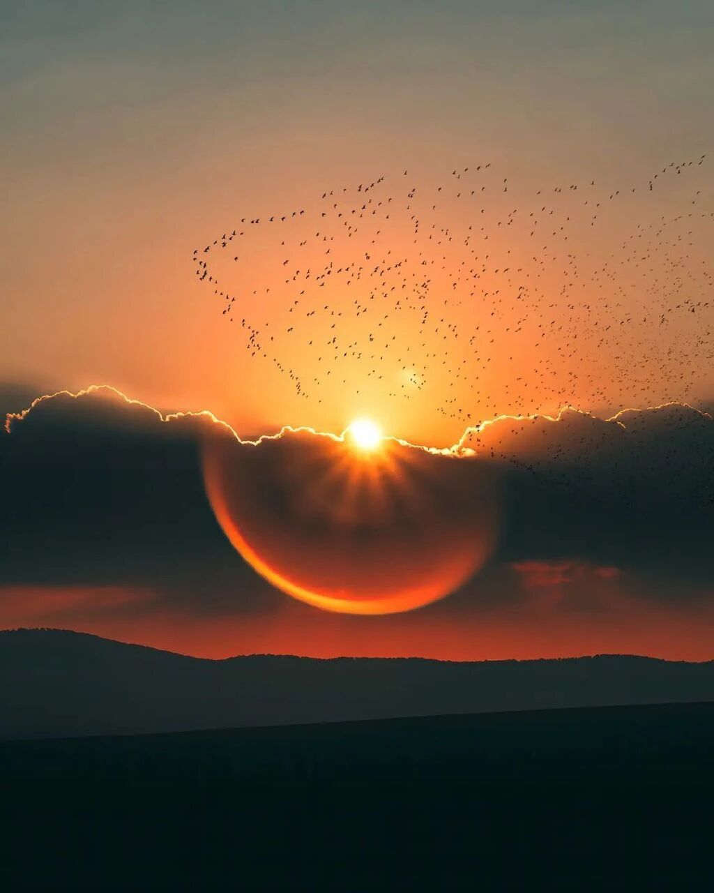 “我想我还会带自己去看无数场日落”｜my_soulwax