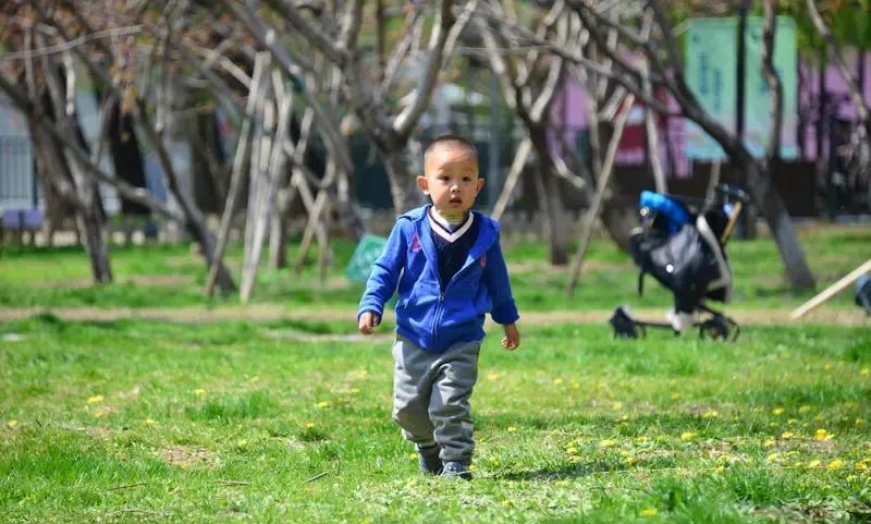 网友留言：“孩子从出生媳妇就不上班带孩子，我一个人在北京两地跑，周一到周五让我妈