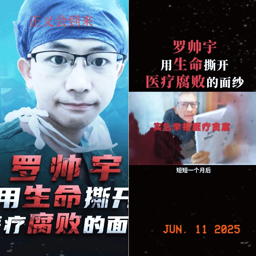 你晓得罗医生那事里，八个孩子到底咋回事不？我一开始也懵，上网一查，惊掉下巴。