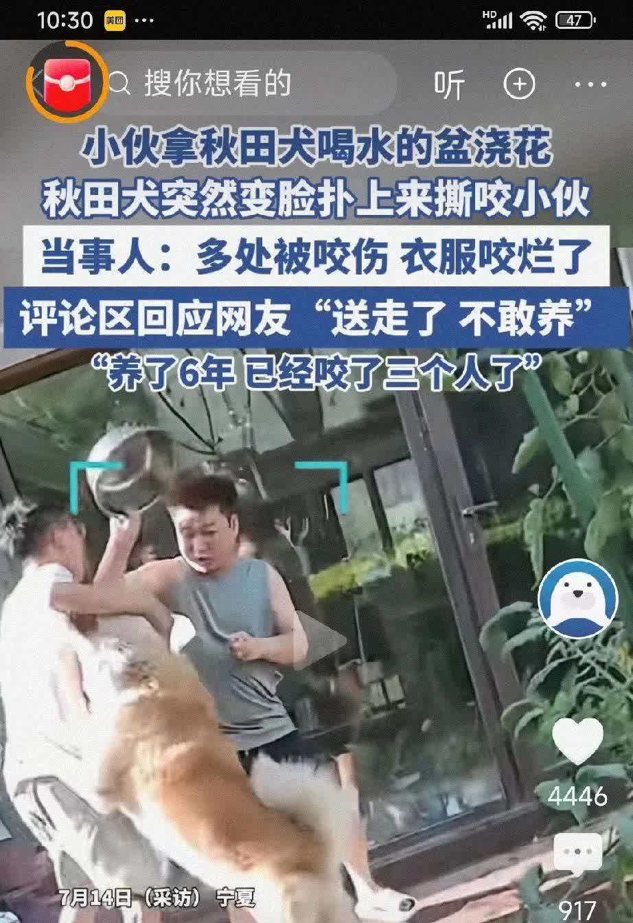 喂不熟的狗！“秋田犬”养了6年，伤人3次！男子用狗盆给花浇水，大狗“可乐”，从远