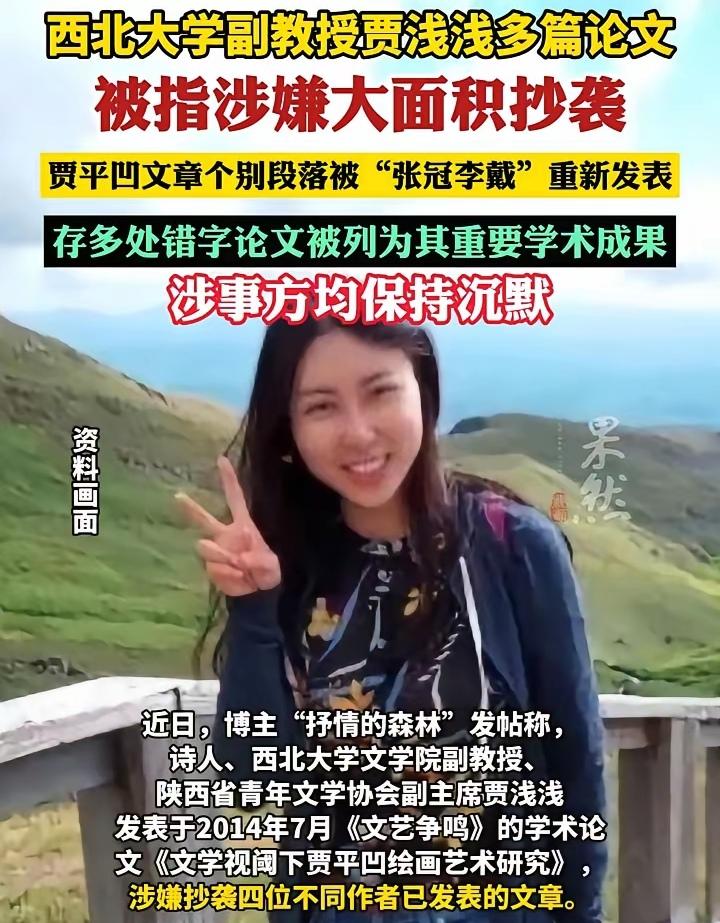 到处都是抄袭侵权，为啥就没有文化、教育、监察机构真正管一管？说到底还是“文二代”