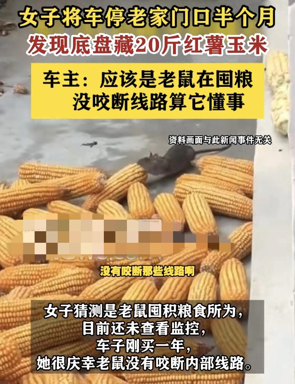 广西贵港一女子将自己新买的一辆小车停在家门口半个月，出差回来在开小车的时候发现踩