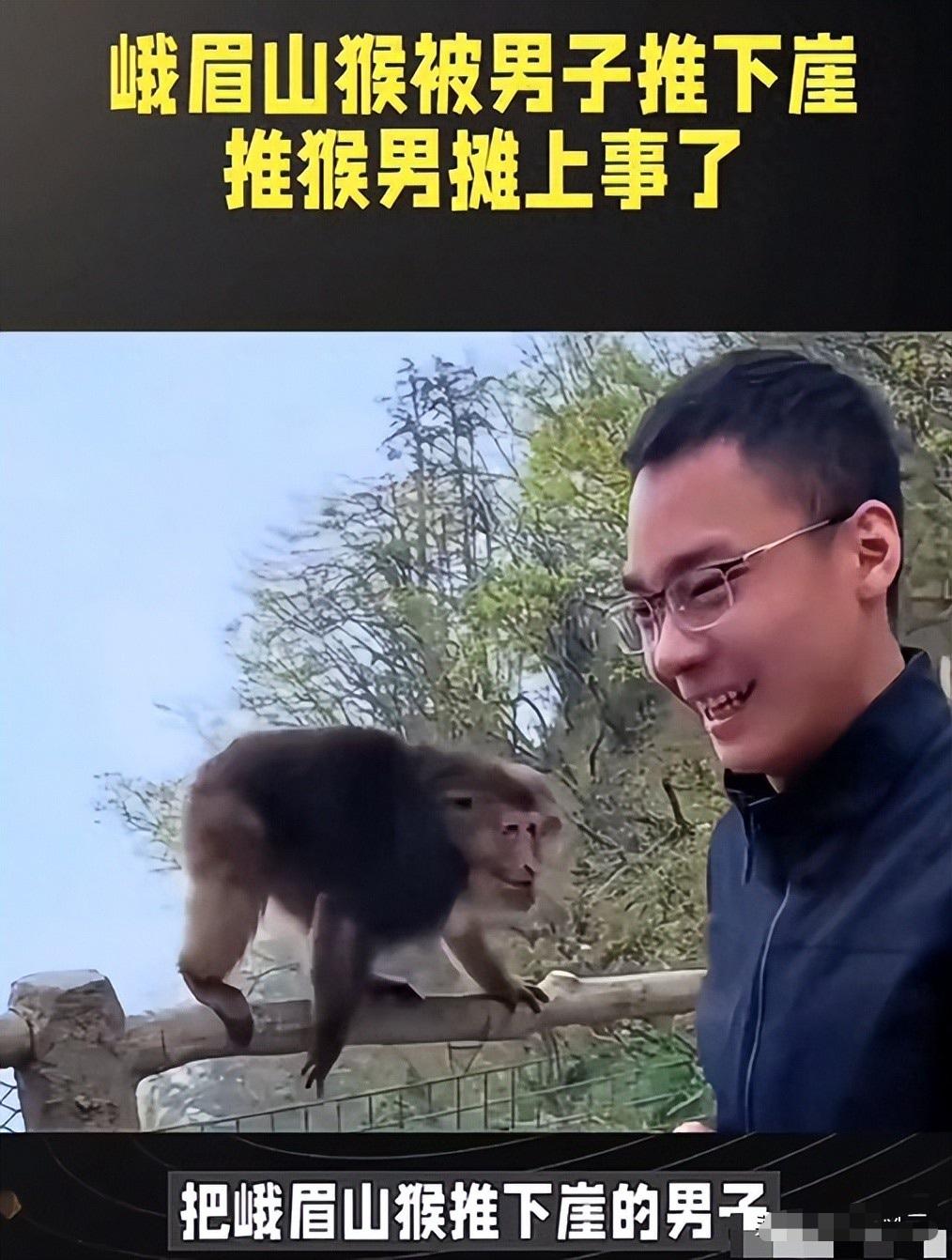 峨眉山推猴男子社会性死亡！底裤被扒，正脸照曝光，结局大快人心。猴子正啃着