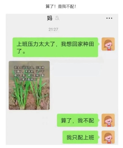 算了，是我不配