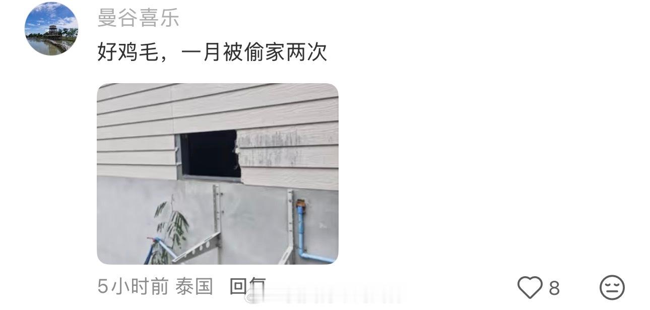 哈哈哈哈哈笑死海外新鲜事​​​