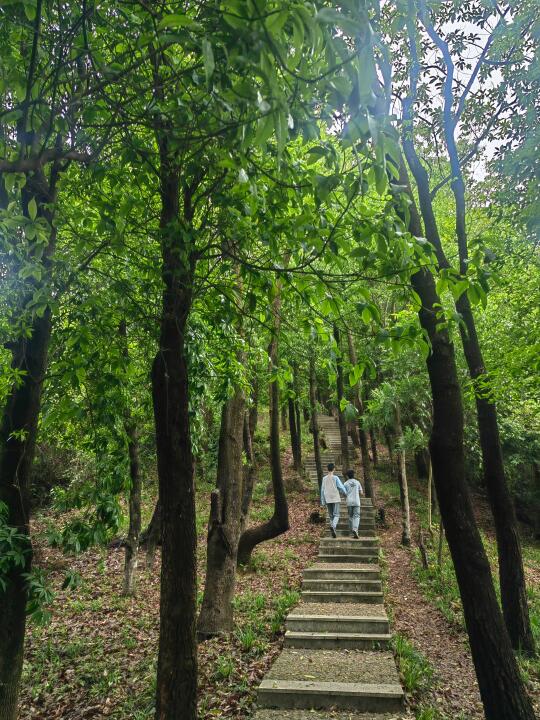 2小时徒步线！建议这么走银湖山郊野公园！