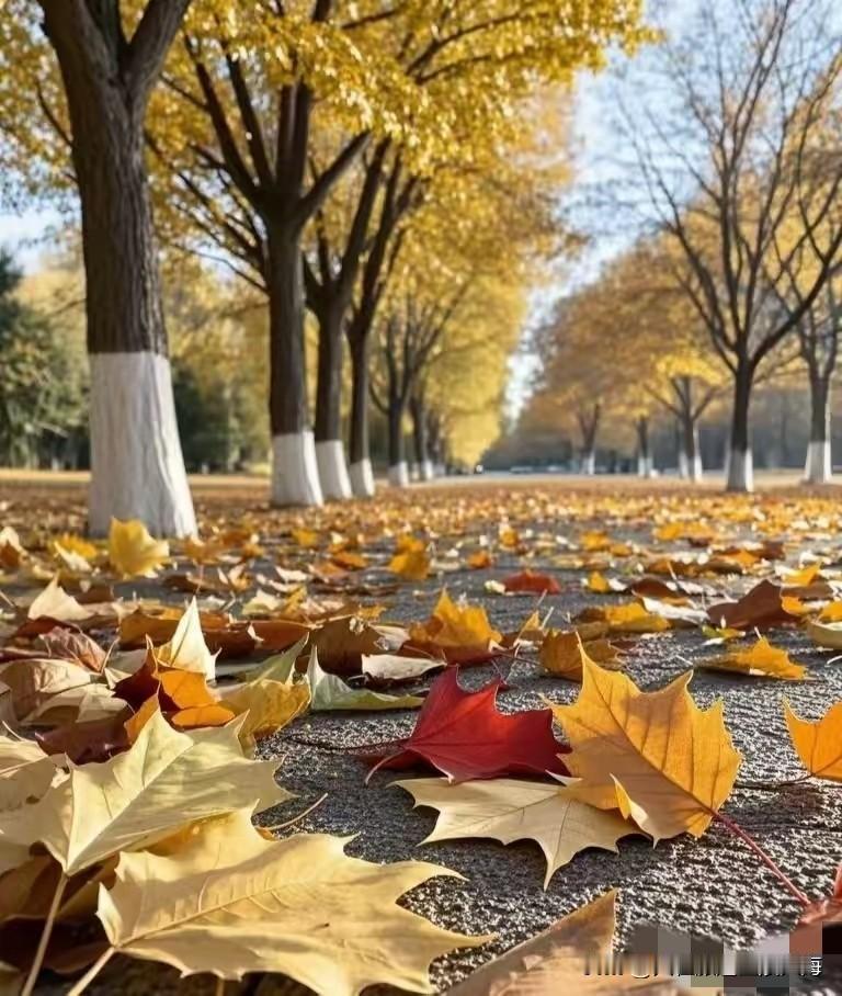 人去世时自己能知道吗说到这个话题我不由自主的想起大病不治的母亲，那一天医生通知我