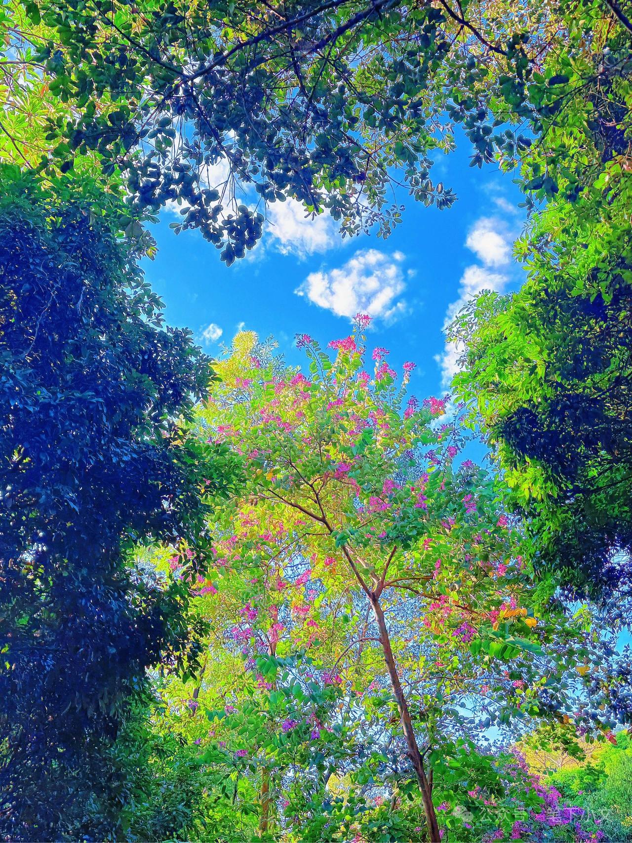 接待了一位高二的学生家长，孩子在非常好的高中，成绩也非常好，但是家长的要求比较高