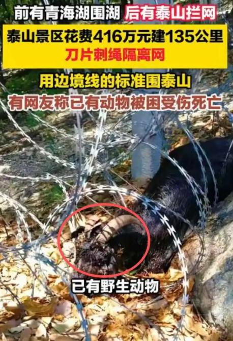 泰山那个曾被骂上热搜的天价防护网拆除后，所有人以为事情翻篇了，哪料一个更恐怖的真