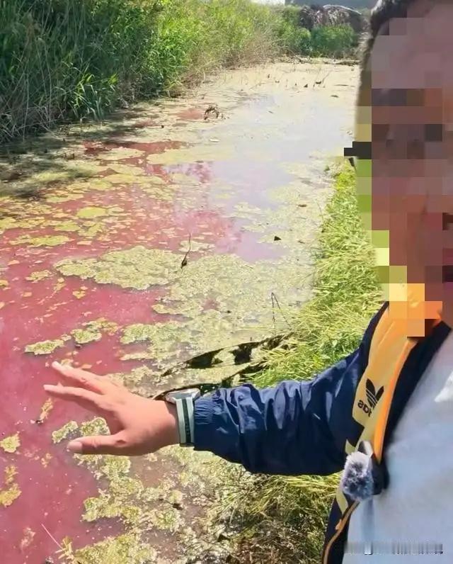 河水变红不可怕，可怕的是“精准敲门”！环保博主深夜惊魂，揭开大健康背后的隐忧