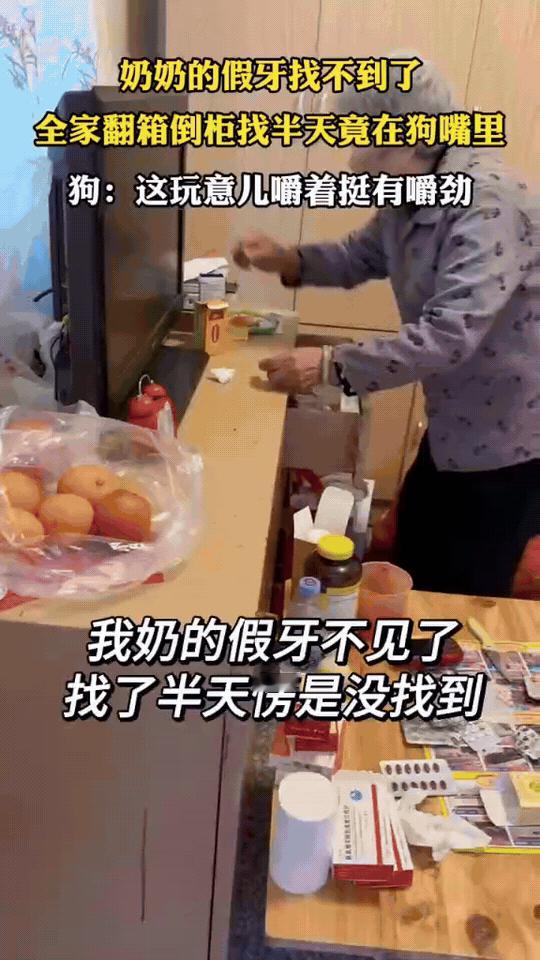 全家急疯找假牙，转头看见狗在咧嘴笑奶奶的假牙凭空消失，全家翻箱倒柜找了半天都