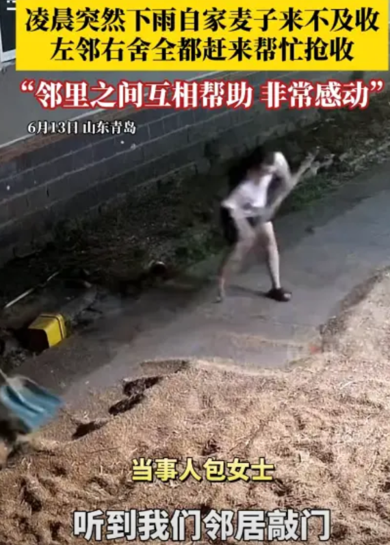“太有人情味了！”6月13日凌晨两点，山东青岛忽然下起了雨，包女士家中的麦子还晾