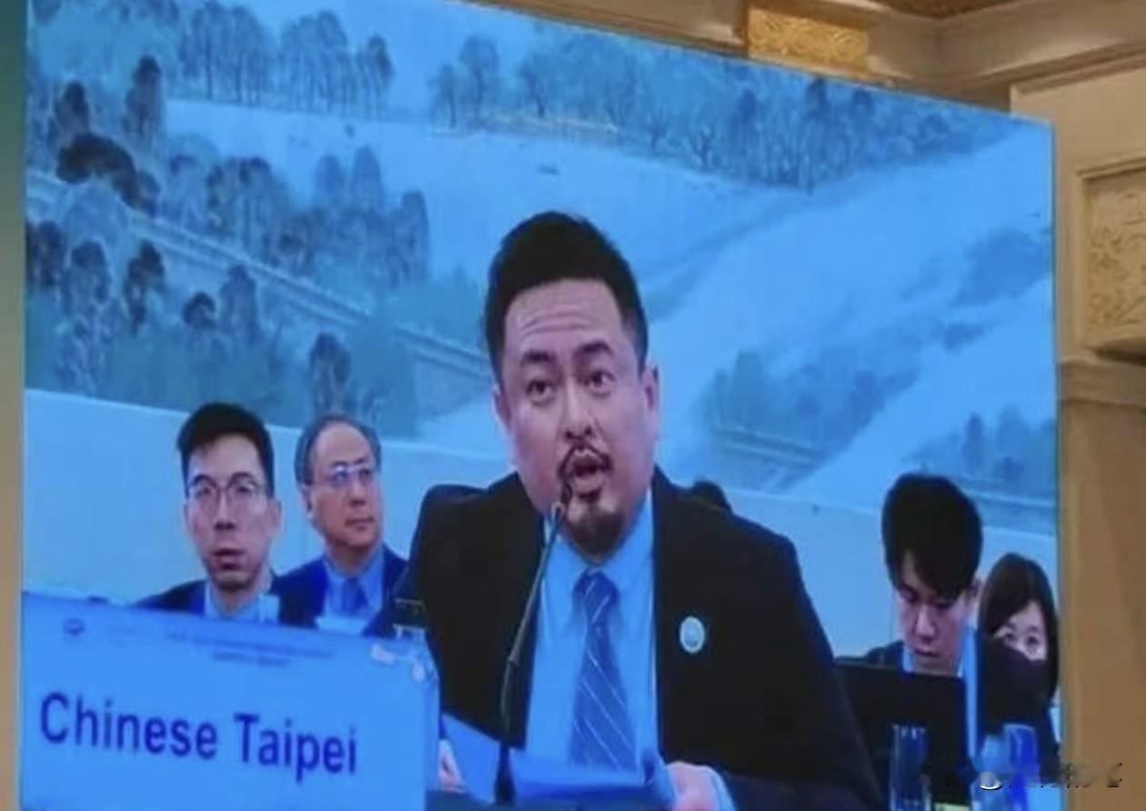 民进党政客洪申翰来大陆参加APEC，乖乖坐在标有ChineseTaipei的桌
