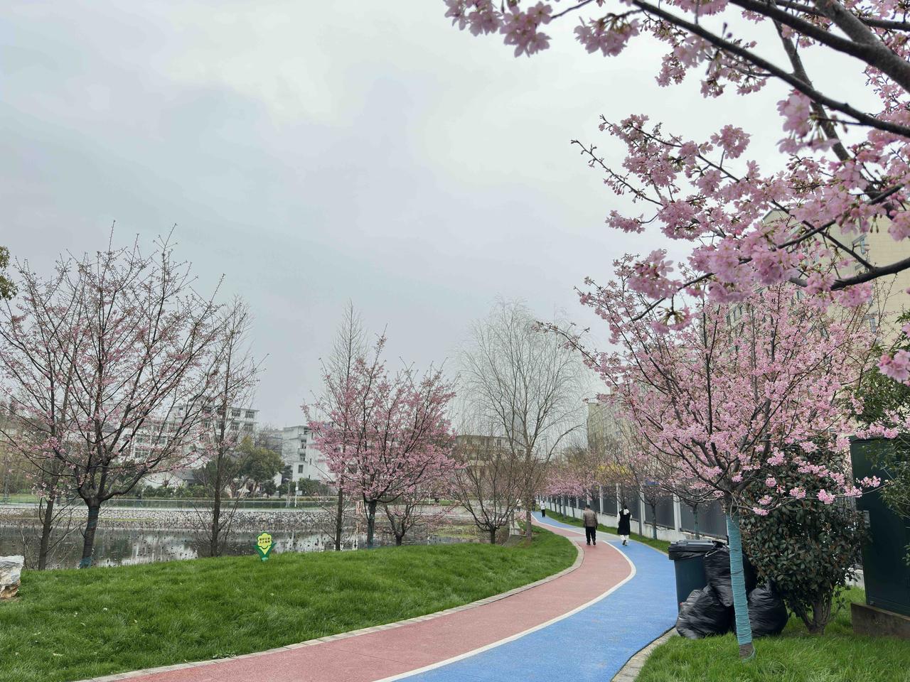 正月十六，中午带着老妈出行打车，滴滴打车App上一打开，秒点秒接单。看车费：¥