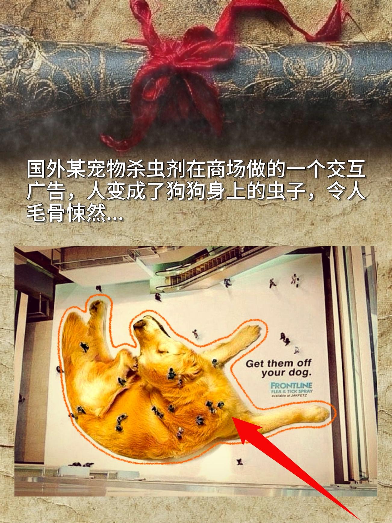 国外某宠物杀虫剂在商场做的一个交互广告，人变成了狗狗身上的虫子，令人毛骨悚然。