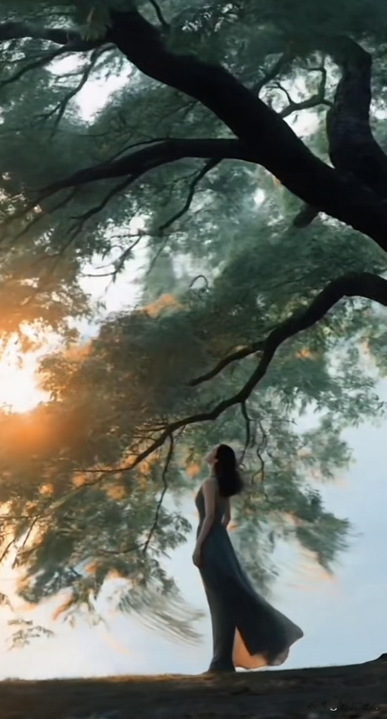 新思维：一个人不要愚蠢得不知好歹我觉得“不知好歹”，是刻在人情世故里的一道警