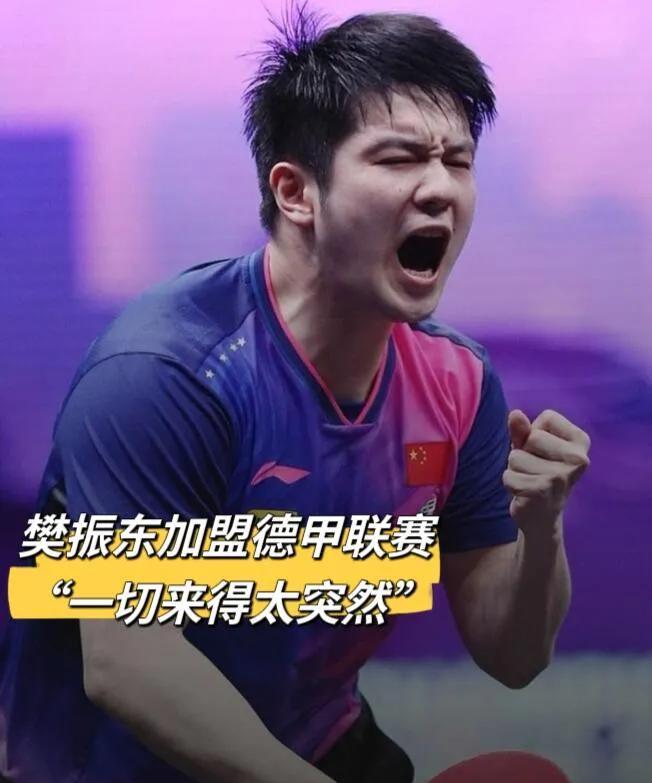 樊振东这下你满意了吧！本以为让官方下场整治饭圈，你的目的已经达到了，没想到你一