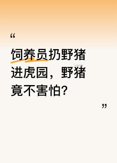 为激发老虎野性，饲养员把一头野猪丢进有老虎的院子当食物。老虎看到野猪瞬间就将其包