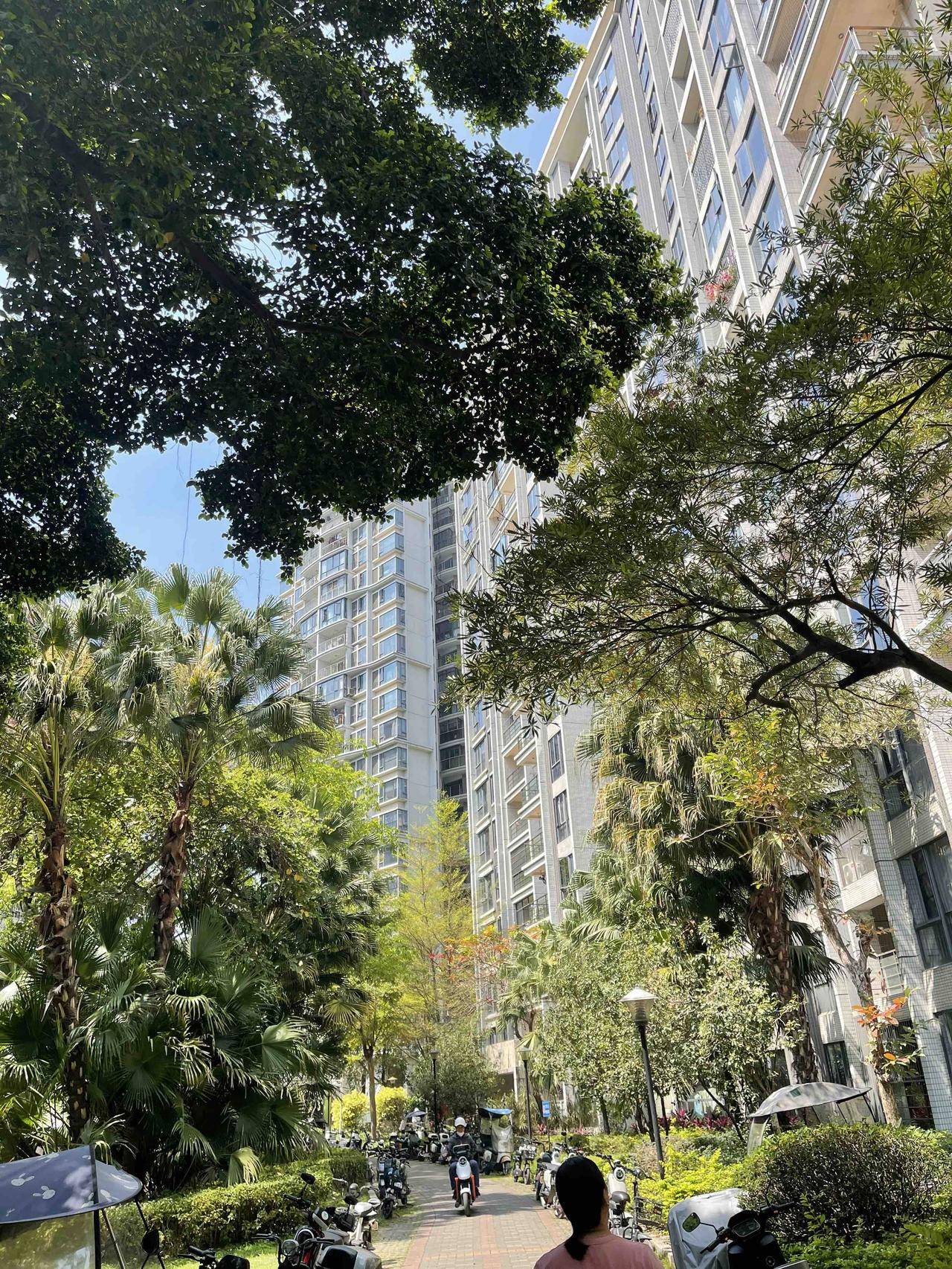 祖辈的那些老理儿1.吃饭，别把筷子插在碗里。2.远行，不披头散发。3