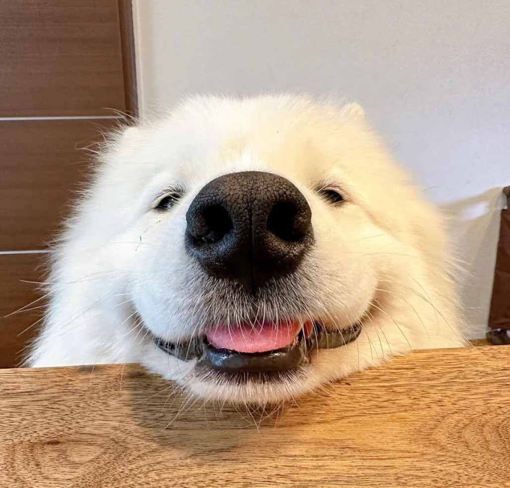 有什么好吃的耶​​​