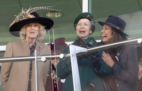 戴安娜王妃高估了自己在儿子心目中的地位，充其量不过是一个生育工具罢了，威廉王子早