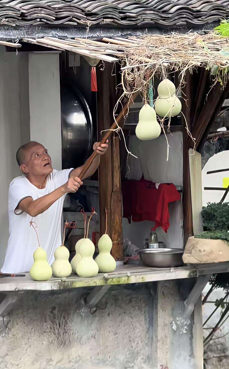 葫芦摘了再挂上去就不一样了！人们追求的是真实结在藤上的葫芦，而不是人工重新挂上去