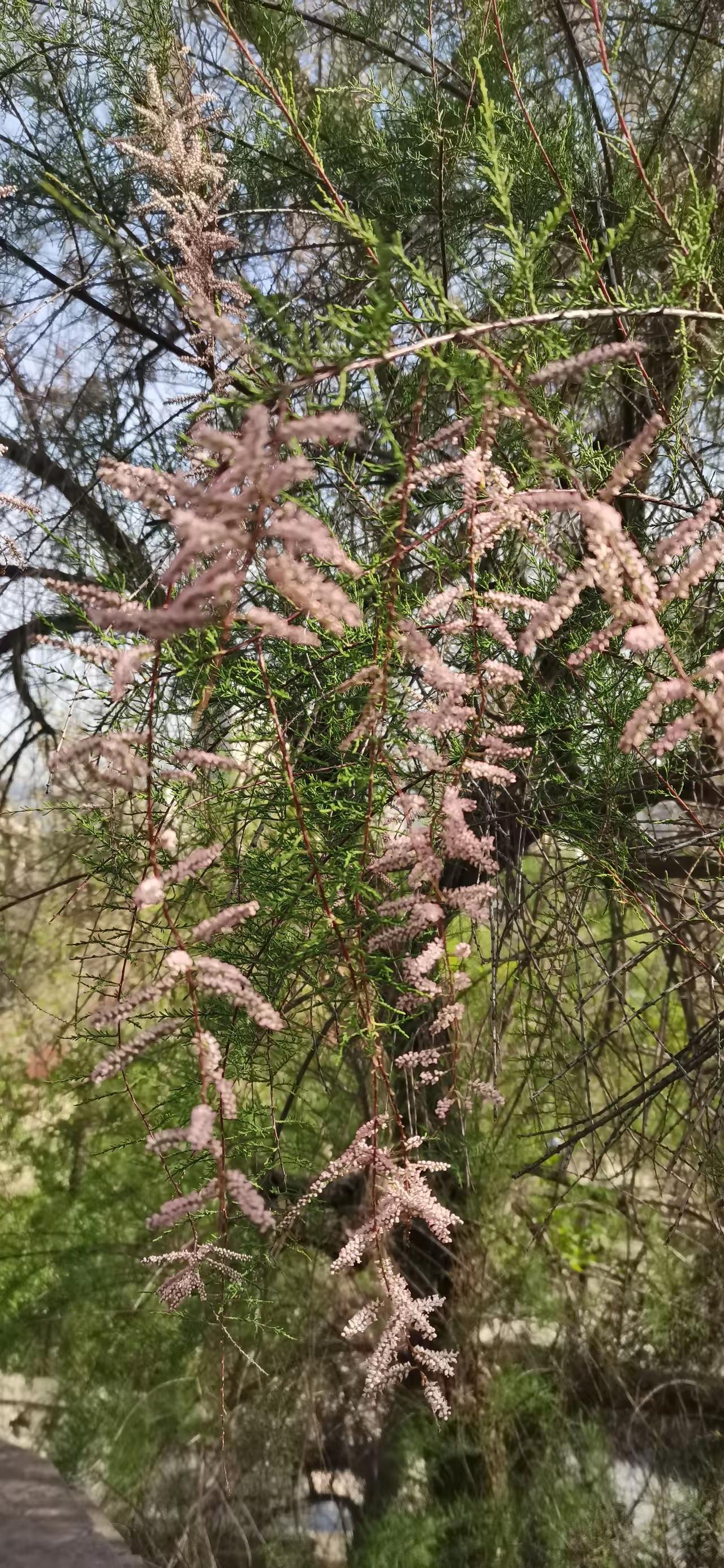 58岁，独居，爱人去世。​嗓子不舒服，起初感觉吞咽的时候好像里面有东西，过