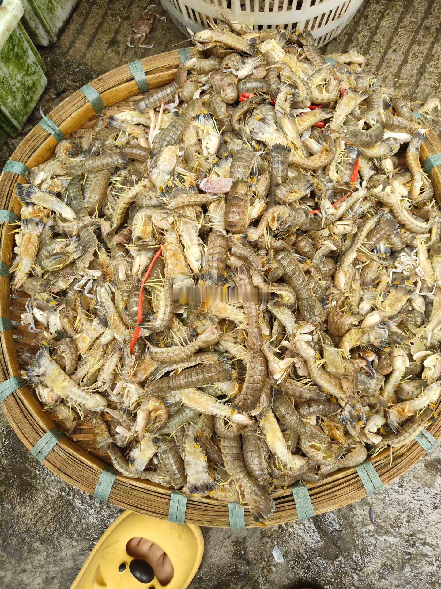 下午茶，吃这个怎样？🦀[滑稽笑]​​​