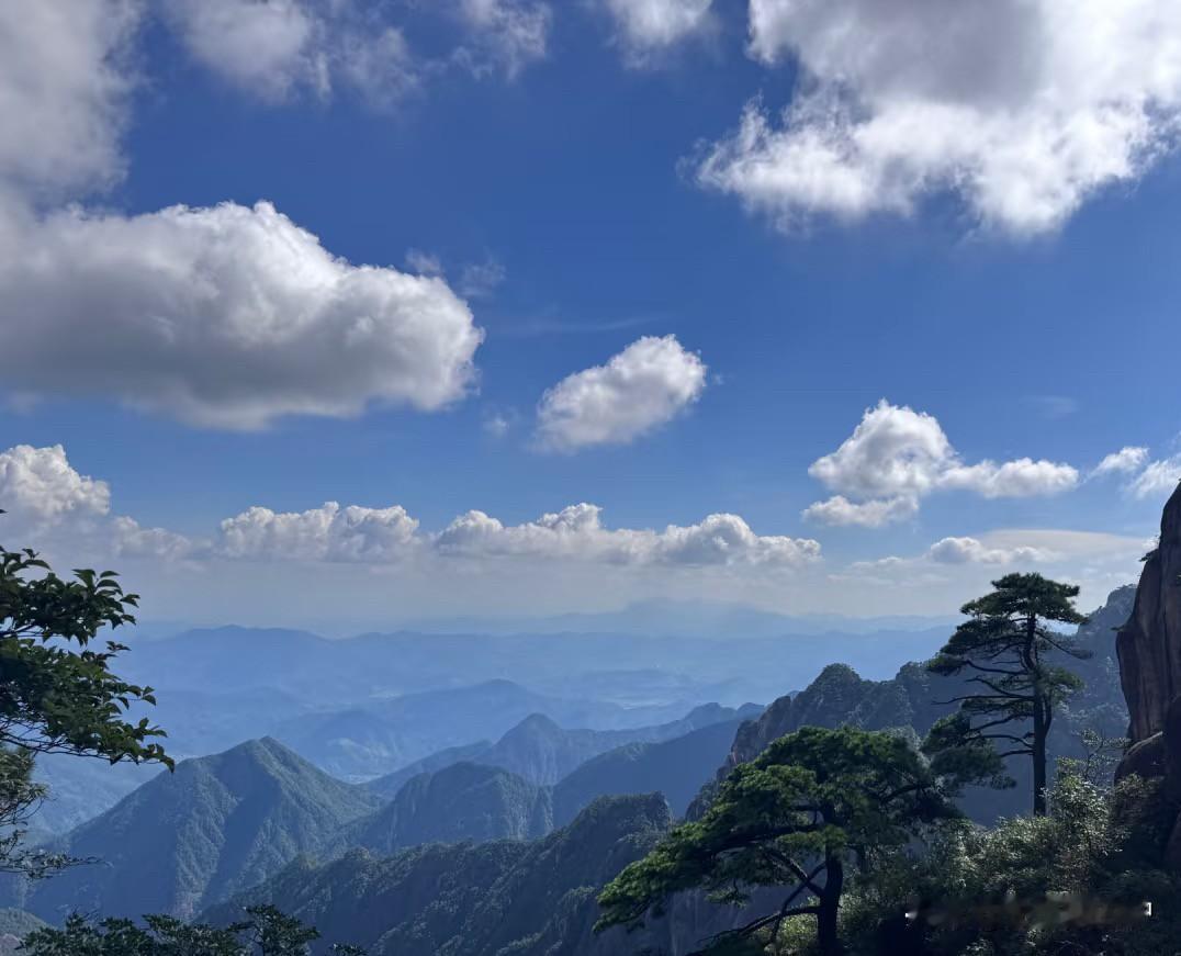暑期爬了几座山，若论景观类型，三清山有的，黄山几乎样样俱全。但细品之下，两者的气