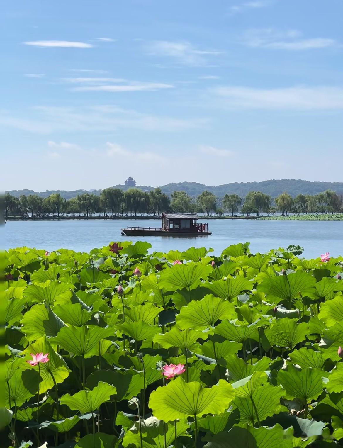 大家有没有发现？很多老年人到了夏天都有个通病——不在家呆着。我公公72岁，