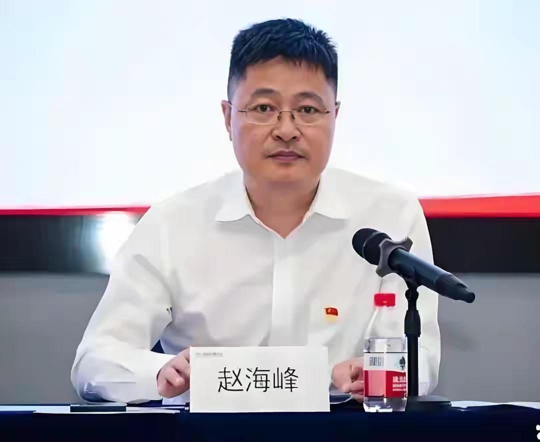 果然男人最懂男人。我问我老公：“赵海峰，有钱有权了，为啥要为难一个刚上班的小姑