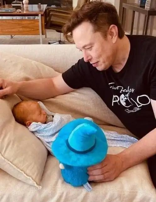 马斯克为啥这么热衷于生孩子？提到马斯克，大家第一反应是火箭、电动车，可很少