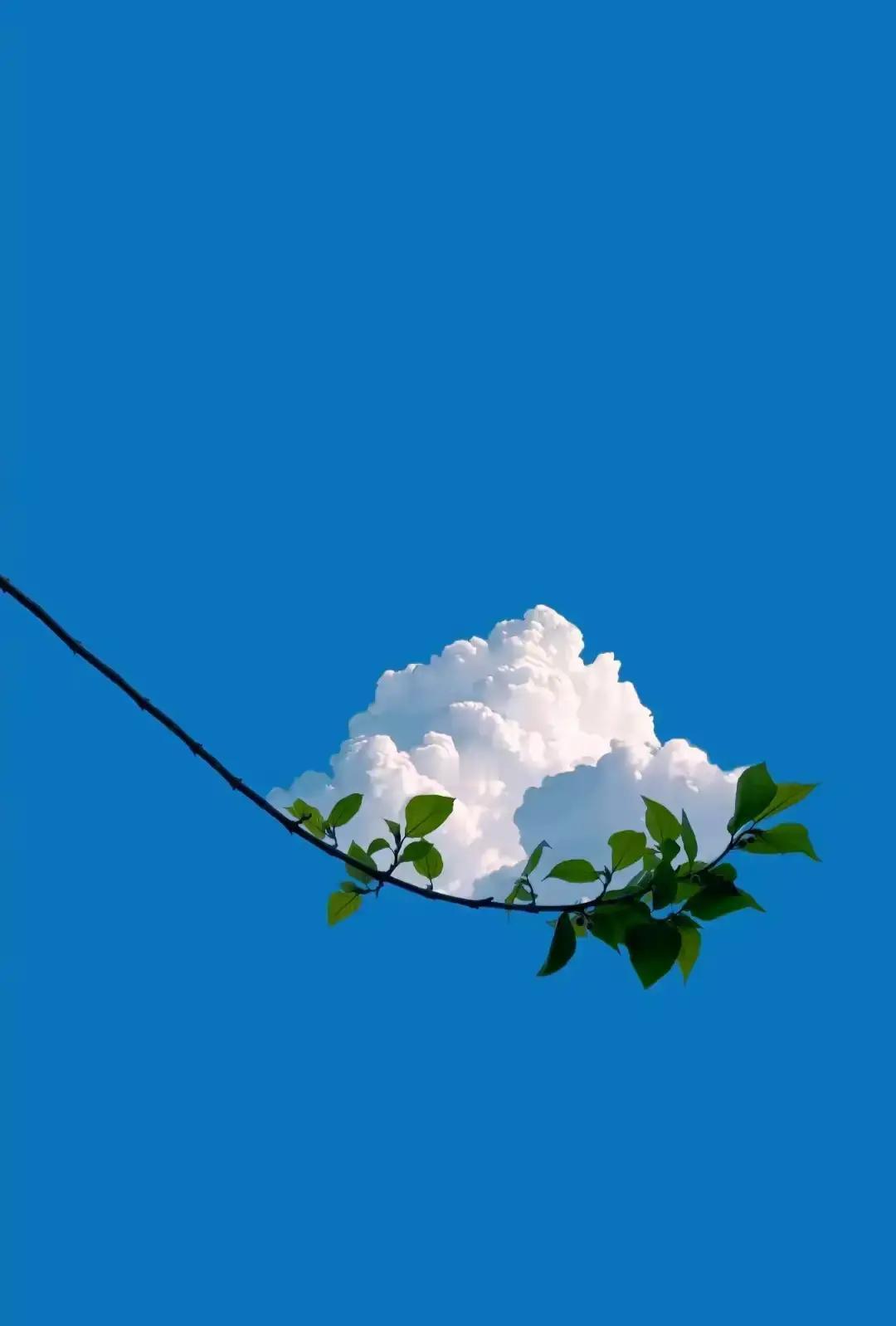 读书越多越穷，这话我信。我表哥985硕士，毕业五年还在北京合租，天天背公式，