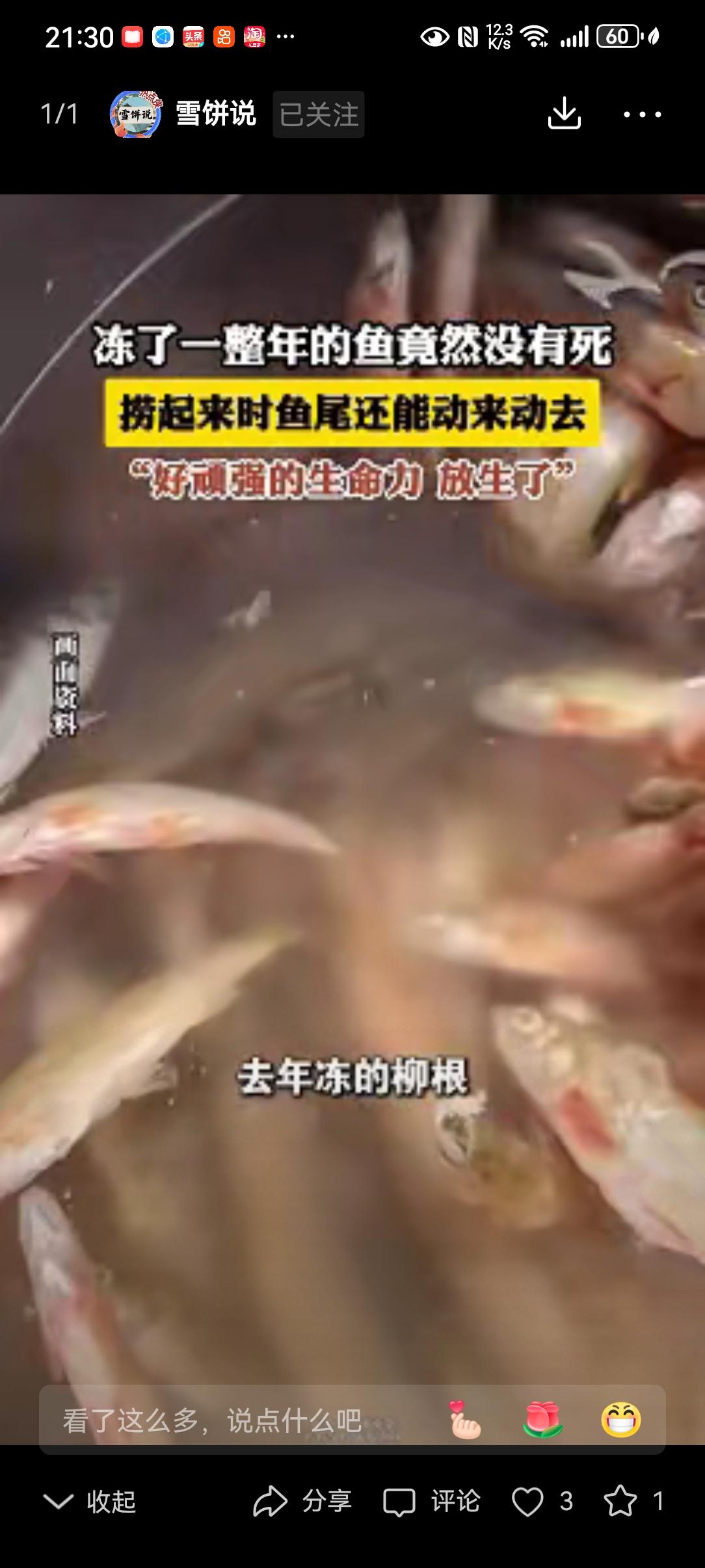 科学都解释不清了！黑龙江，女子看到冰柜里有冻了一年的老头鱼，就想着拿出来化一下做