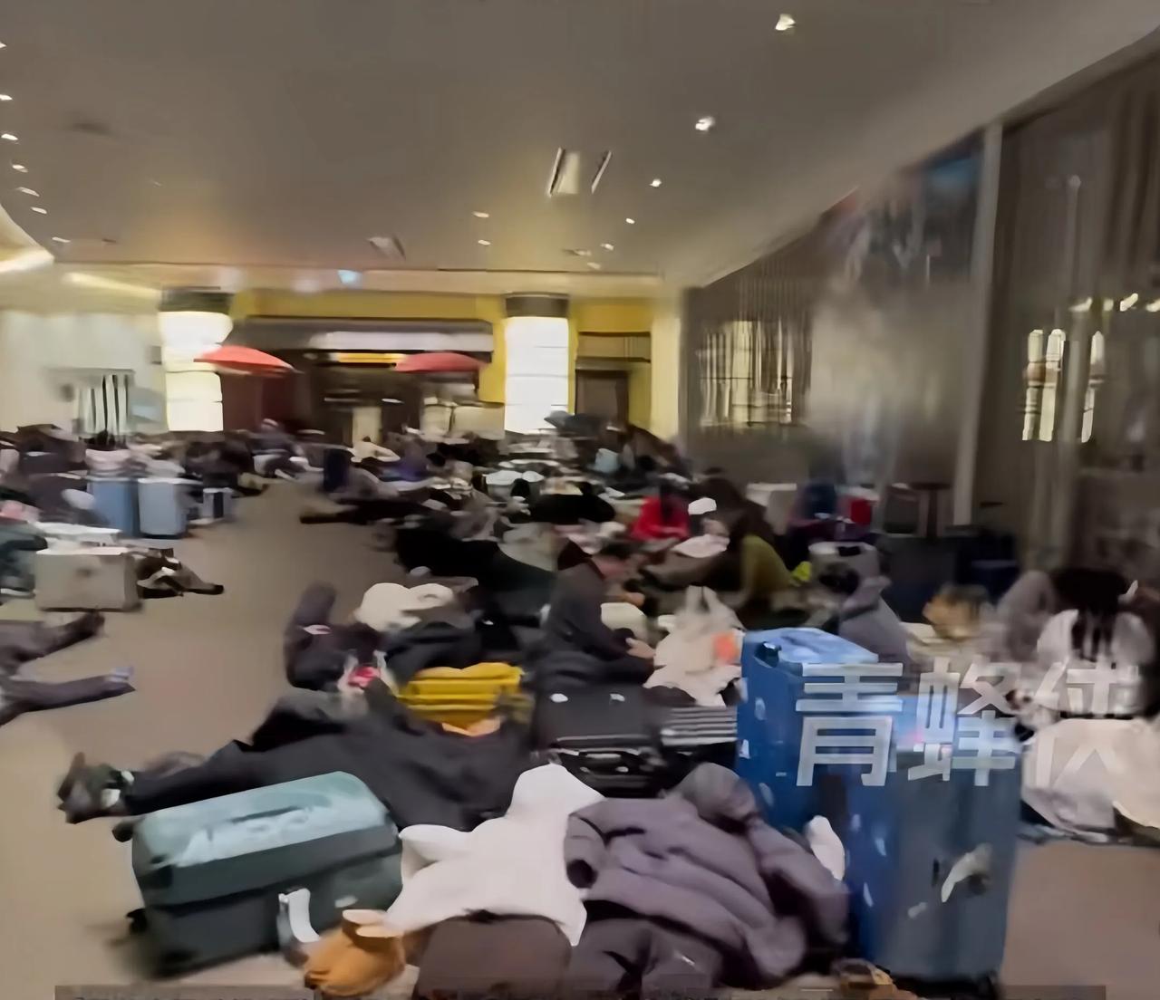 “赶紧派包机！必须派包机来接我们！”这歇斯底里的呼喊，竟来自不久前还在北海道