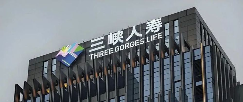 每股仅6分钱! 历经10次流拍后, 三峡人寿2亿股股权终成交, 保险牌照为何遇冷? |大鱼财经