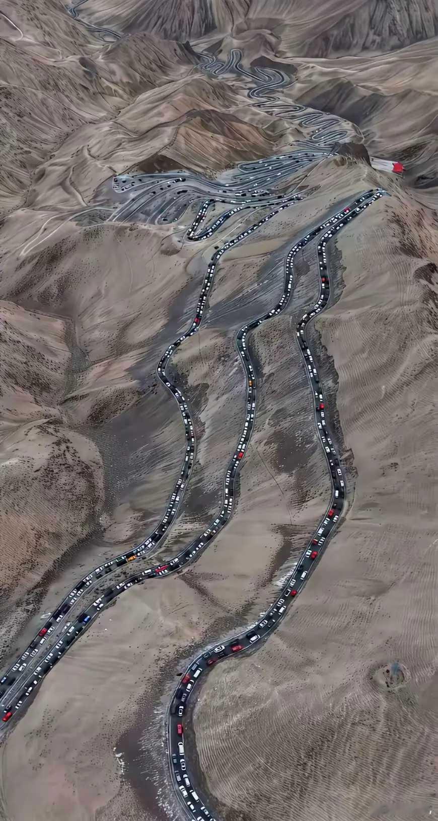 还真有这么多闲人，他们不上班吗？