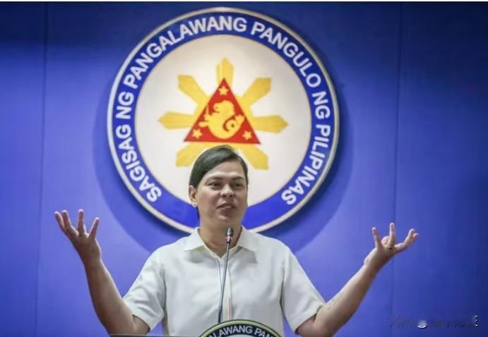 菲律宾副总统莎拉办公室在2024年度审计报告中列出的价值390万比索的