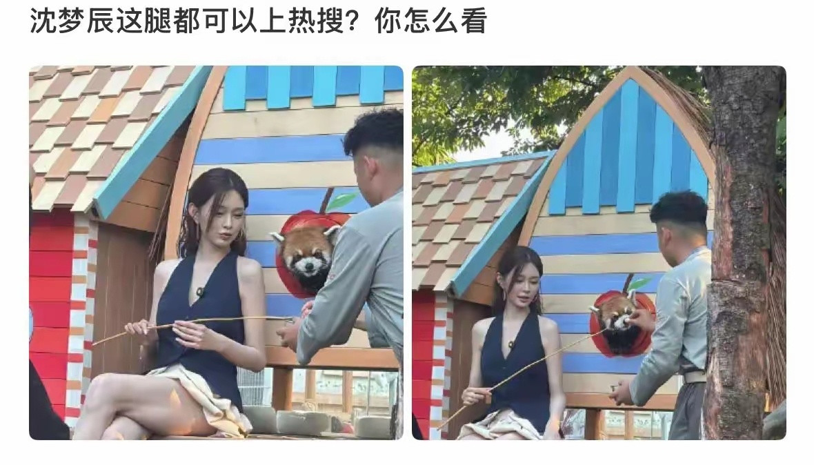 一张无滤镜生图直接引爆全网，沈梦辰双腿肤色反差出圈，轻轻松松冲上热搜，女明星的精