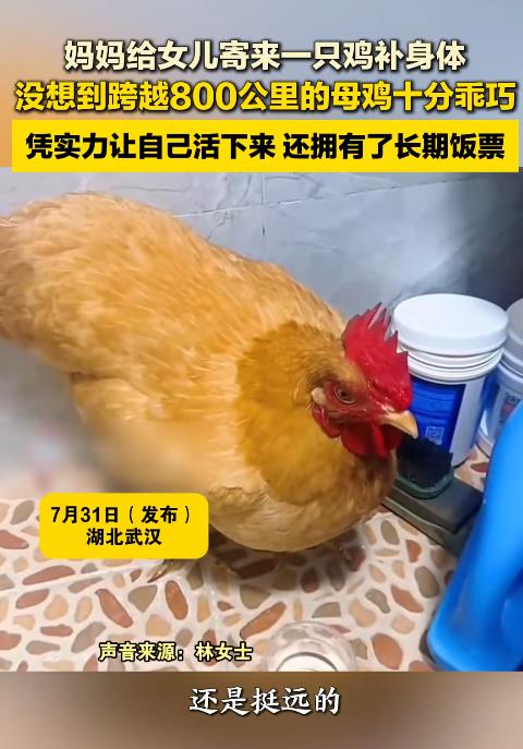 “本来是送来给女儿补血的，没想到却先救了自己一命。”湖北武汉一名女子因为贫血，远