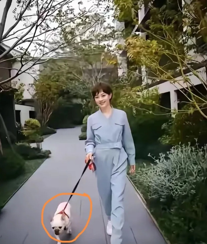 我现在开始有点懂邓超了，孙俪哪里都好，但是有一点是要不得的，那就是孙俪太自律