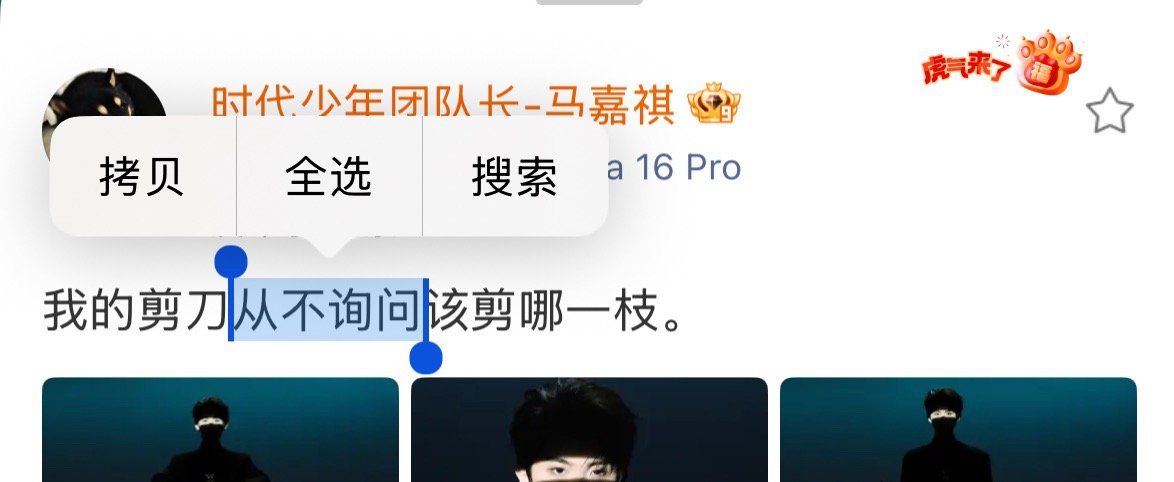 “从不询问”上位者就这么霸道吗啊啊啊啊