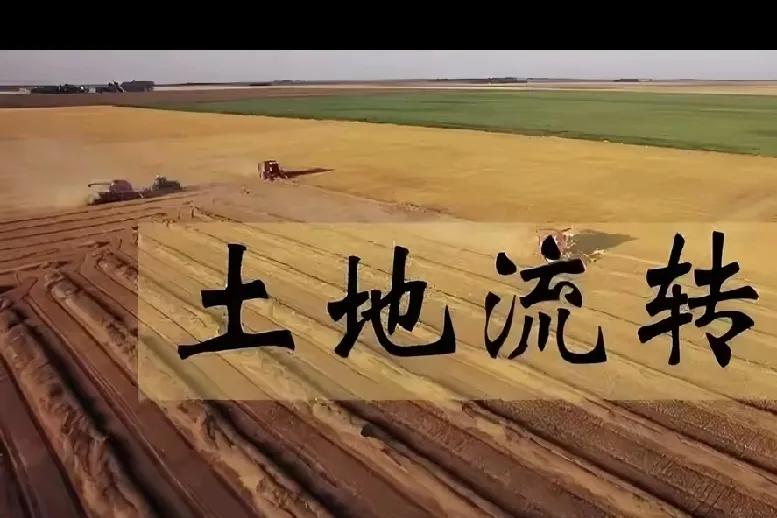 农民避坑：国家明确原则底线！2025土地流转“5不得”“3适应”农民朋友们注意了
