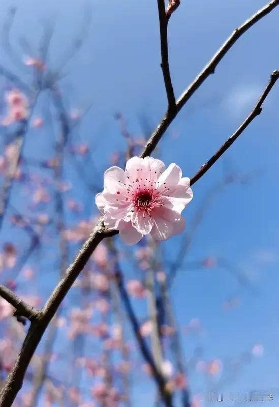 中国男人在战场上从来没怂过，但是面对女同胞的打压，贬低，背刺，他们非常的伤心，空