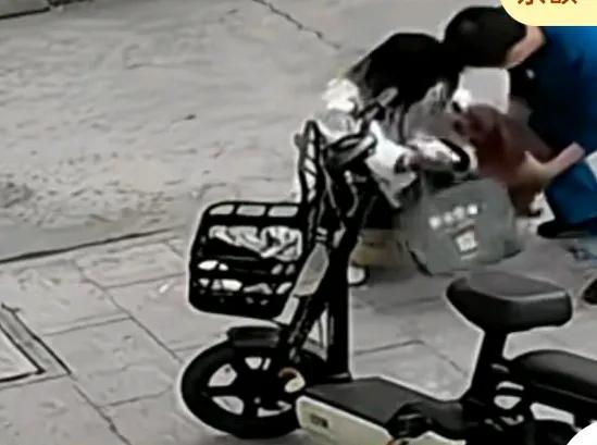 因为狗生病将狗狗带到宠物医院，问医生怎么了？医生说它只是怀孕了，医生一扭头看到