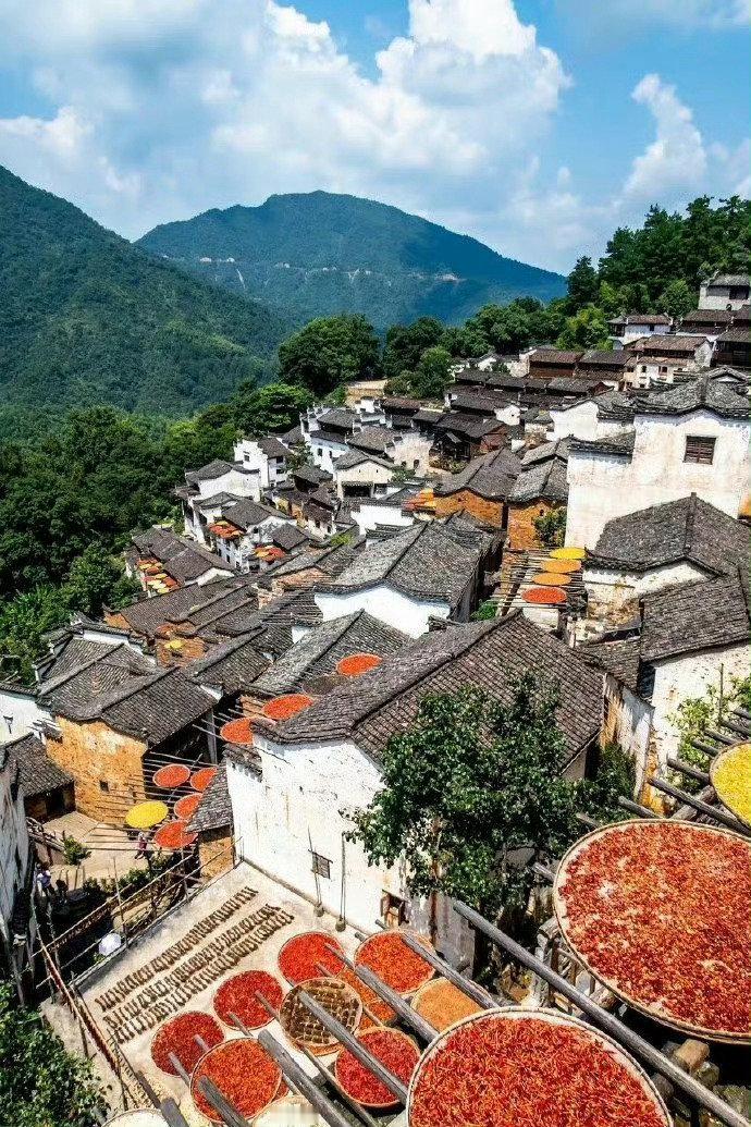 婺源晒秋，成了秋天一道独特的风景。​​​​