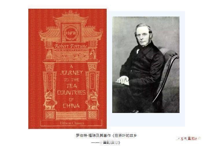 当年，英国人不但来中国掠夺，还来中国偷窃。今天，中国人不会再被欺骗了！19世