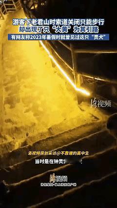 万物皆有灵！近日河南洛阳老君山，男子爬山时间太久导致下山时缆车已经关闭，只能在夜