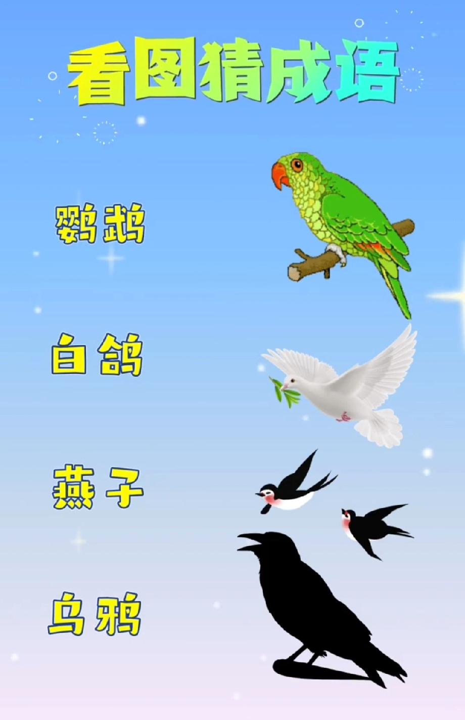 全网都在猜的“四种鸟”成语，我想破头都没答案，评论区有大神能救我吗？
